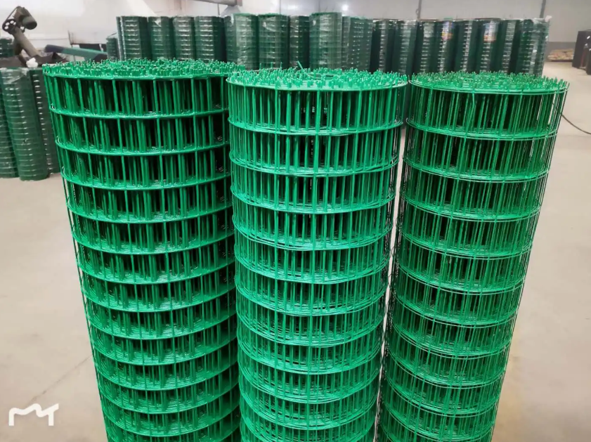 锦屏荷兰网